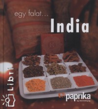 Allen Diwan - Egy falat... India