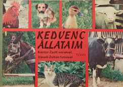 Kántor Zsolt - Váradi Zoltán - Kedvenc állataim