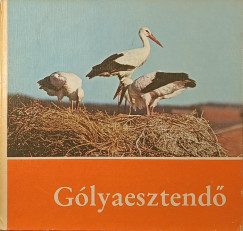 Claus Schönert - Gólyaesztendő