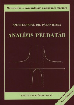 Szentelekin Ples Ilona - Analzis pldatr