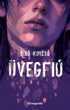 Biró Kincső - Üvegfiú