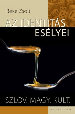 Beke Zsolt - Az identitás esélyei