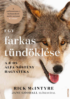 Rick McIntyre - Egy farkas tündöklése