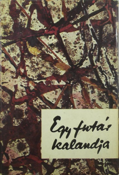Egy futr kalandja