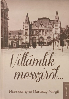 Niamessnyné Manaszy Margit - Villámlik messziről...