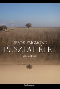 Sebk Zsigmond - Pusztai let