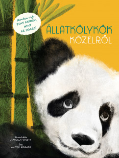 llatklykk kzelrl