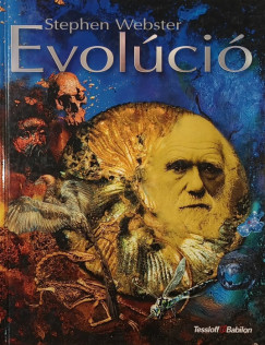 Stephen Webster - Evolúció