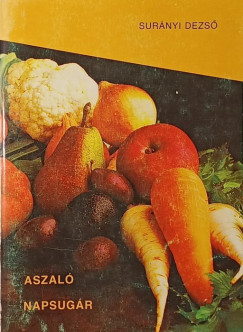 Surányi Dezső - Aszaló napsugár