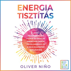 Oliver Nino - Fncsik Roland - Energiatisztts