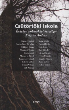 Krizsn Andrs  (Szerk.) - Cstrtki Iskola