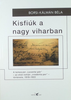 Borsi-Klmn Bla - Kisfik a nagy viharban