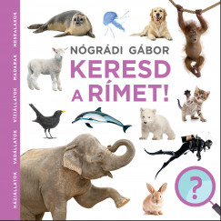 Ngrdi Gbor - Keresd a rmet!