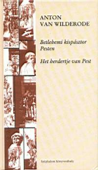 Anton Van Wilderode - Betlehemi kispsztor Pesten