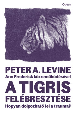 Ann Frederick - A tigris fel�breszt�se