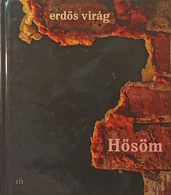 Erdős Virág - Hősöm
