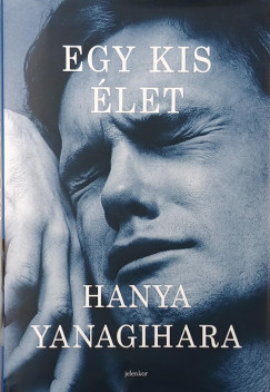Hanya Yanagihara - Egy kis élet