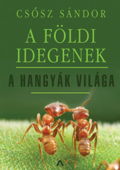 Cssz Sndor - A fldi idegenek