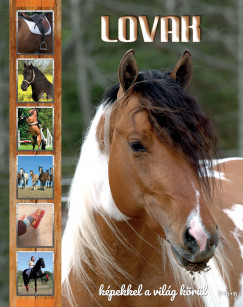 Lovak