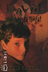 Louis Sachar - David nem hagyja magt