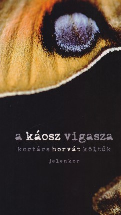 Miroslav Micanovic  (Szerk.) - A kosz vigasza