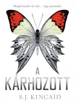 S. J. Kincaid - A krhozott