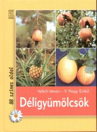 Velich Istvn - V. Nagy Enik - Dligymlcsk