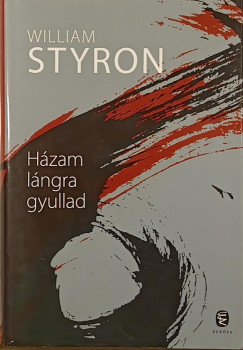 William Styron - H�zam l�ngra gyullad