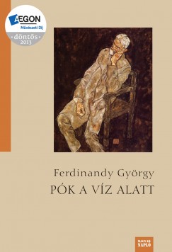 Ferdinandy Gyrgy - Pk a vz alatt