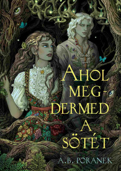 A. B. Poranek - Ahol megdermed a stt