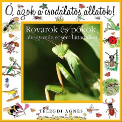 Telegdi gnes -  azok a csodlatos llatok! - Rovarok s pkok, ahogy mg sosem lttad ket
