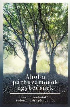 Bkki Tams Aila - Ahol a prhuzamosok egybernek
