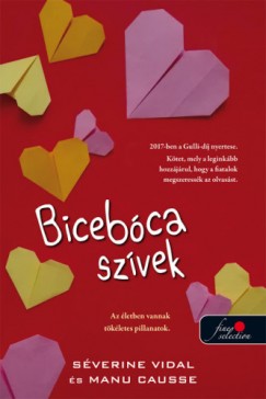 Manu Causse - Séverine Vidal - Bicebóca szívek