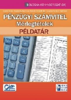 Csoms Tams - Helgertn Szab Ilona - Katonn Dr. Erdlyi Edit - Kurcsinka Tamsn - Van Gbor - Pnzgyi szmvitel - Mrlegttelek