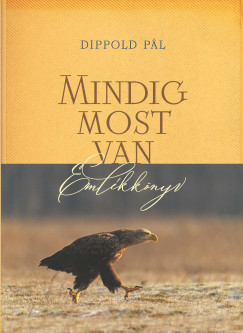 Dippold P�l - Mindig most van