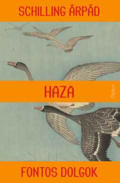 Schilling Árpád - Haza