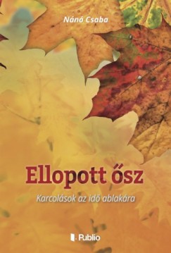 Nn Csaba - Ellopott sz - Karcolsok az id ablakra