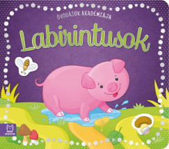 Barbara Wierzchowska - Labirintusok - vodsok akadmija