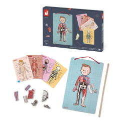 Emberi test-m�gneses kirak�