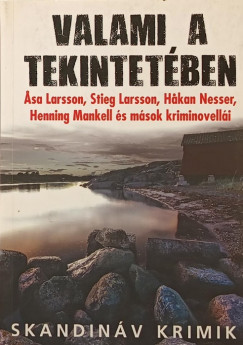 John-Henri Holmberg  (Szerk.) - Valami a tekintetben