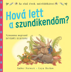 Amber Stewart - Rozgonyi Sarolta  (Szerk.) - Hov lett a szundikendm?