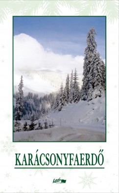Hunyadi Csaba Zsolt  (Szerk.) - Kar�csonyfaerd�