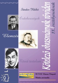 Sndor Ildik - Ktelez olvasmnyok rviden 11. osztlyosoknak