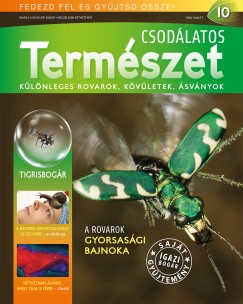 Csodlatos termszet 10.