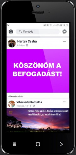 Hartay Csaba - Ksznm a befogadst!