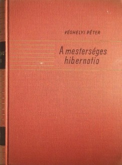 Vghelyi Pter - A mestersges hibernatio