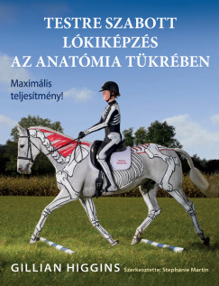 Gillian Higgins - Martin Stephanie  (Szerk.) - Testre szabott lkikpzs az anatmia tkrben