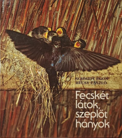 B�csy L�szl� - Schmidt Egon - Fecsk�t l�tok, szepl�t h�nyok