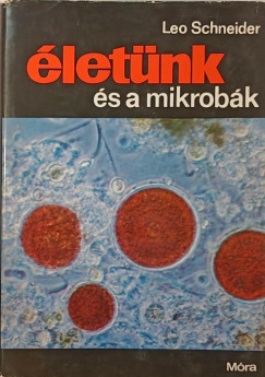 Leo Schneider - letnk s a mikrobk