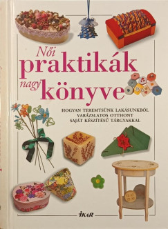 Leyrer Ginda  (Szerk.) - Ni praktikk nagy knyve